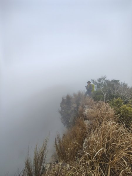 白藍狐貍出狐貍尾/狐貍縱走2796371