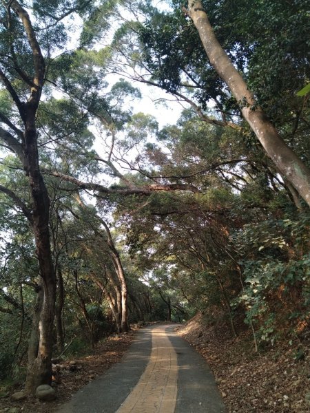 我們這一家---田中長青自行車道811039