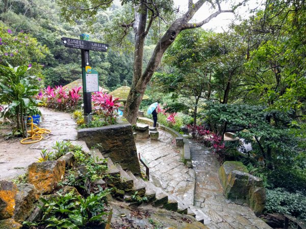 臺北大縱走-捷運大湖公園站至風櫃口782321