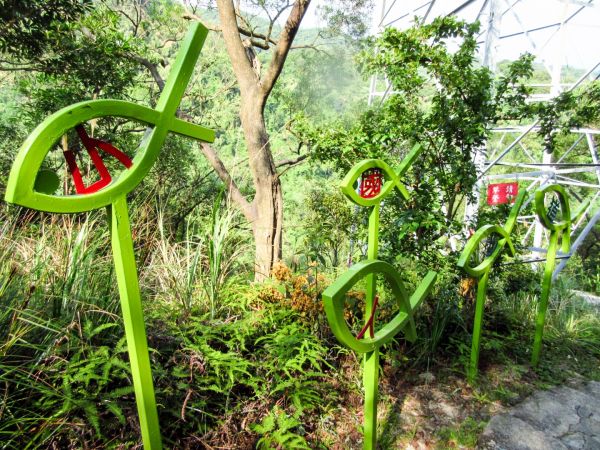 碧溪步道桐花、鯉魚山健行395472