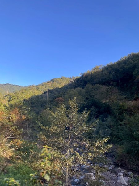 1141108-09桃山單攻2935980