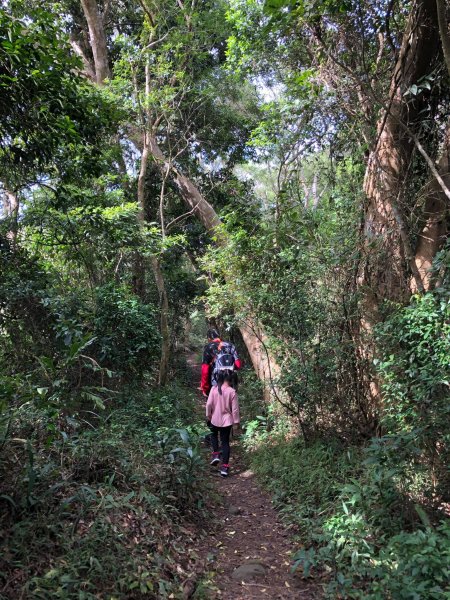 20201024小百岳獅頭山2191201