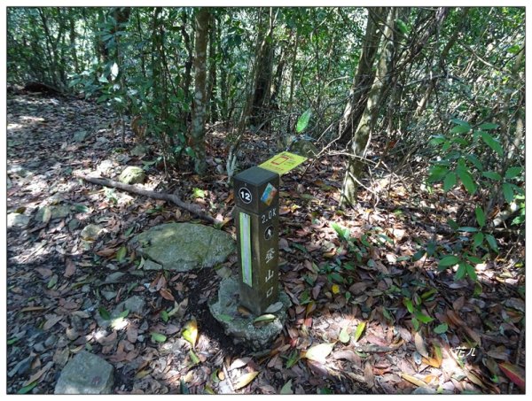 東卯山、東卯山西峰、東卯山西南峰 連走2932801