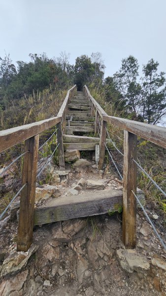 【美美兔走山趣】谷關抓雄-老六白毛2749965