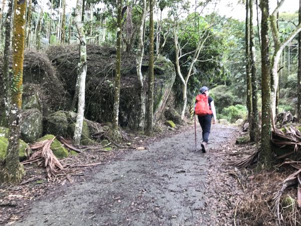 關子嶺大凍山步道188303