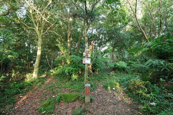 臺北 貓空圓山、貓空尖、十六分山、四面頭山、三玄宮山、鵝角格山、待荖坑山2585829