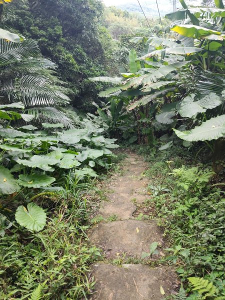 微笑山線：【天上山系】烘爐地土地公段：南勢角山2959355