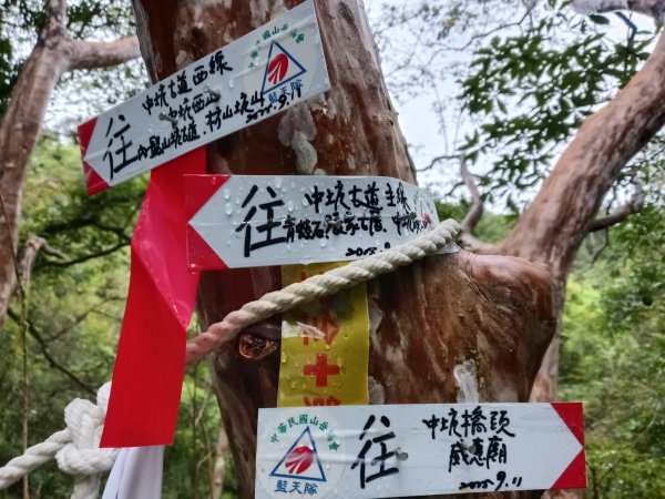 雙溪區中坑古道+大夯瀑布+中坑東山+中坑東山尾稜O型2921519