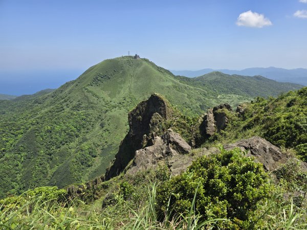 20260426 新北金瓜石半屏山無耳茶壺山3050523