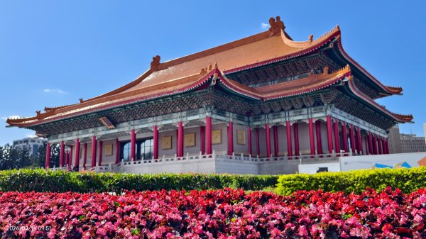 #自由廣場 #大安森林公園 #繡球花 #杜鵑 3/163016269