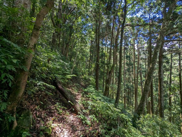 逐鹿山水路上卡保山(未經逐鹿山)2171974