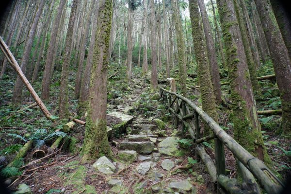 臺中 和平 橫嶺山、沙蓮山、笛吹山2974922