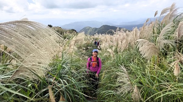秋季品味古道與芒海的山行在猴硐牡丹山與金瓜石山2950959