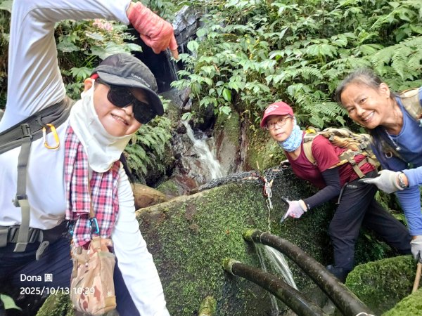 復興三尖老么之那結山1520m(嘎色鬧上)全紀錄2915490