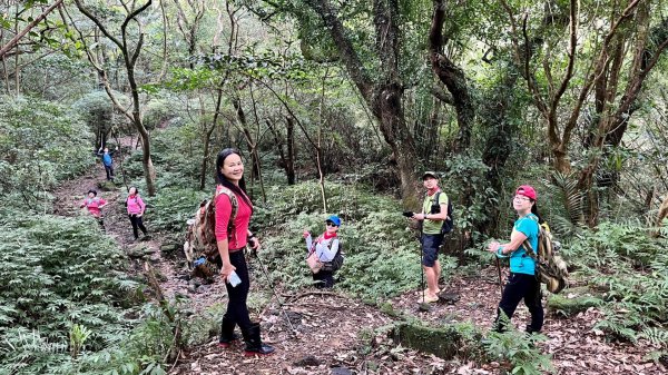 東勢大崙、東勢坑山、觀音湖山O走2986381