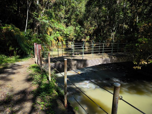 2024-08-22 澀水森林步道2578377
