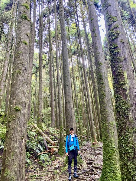 橫嶺山-沙蓮山-笛吹山連走    2022/7/51754685