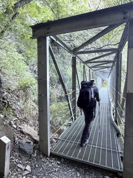 來去郡大坐龍貓公車順登對關山2822327