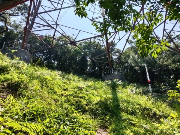 汐止區火燒坪山+車坪寮崙+五指山前峰O型2857912