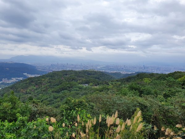 樹林大棟山，大溪齋明寺古道，御成路古道，石板古道，月眉古道，板橋新月橋步道，五堵獅頭山1610383