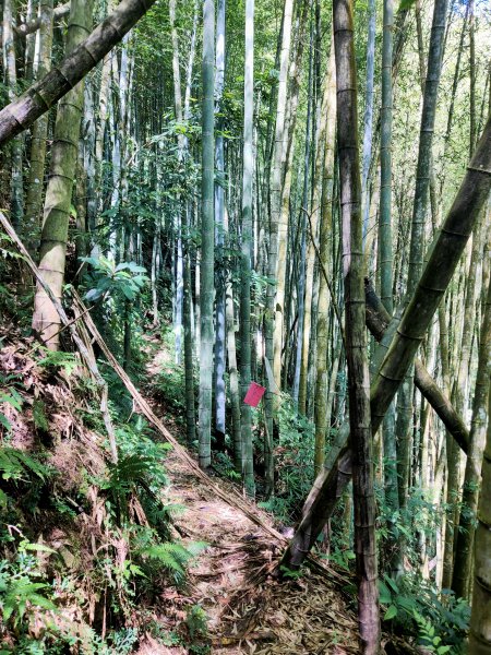 鳳凰山-隆田登山口1760455