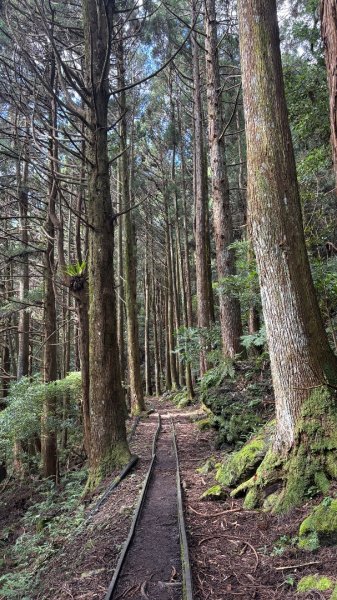 加里山東南峰2845046