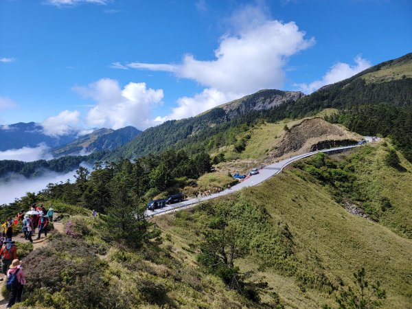 2026-0517-合歡北峰初探3066513