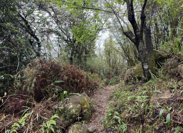 [微笑山線_第三段] 2026_0328 鳶山山系_鳶山彩壁3025687