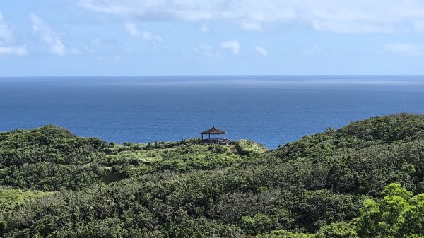 夏季的黃金十稜接九稜下門牙稜C型(草長路荒慎行)2880678