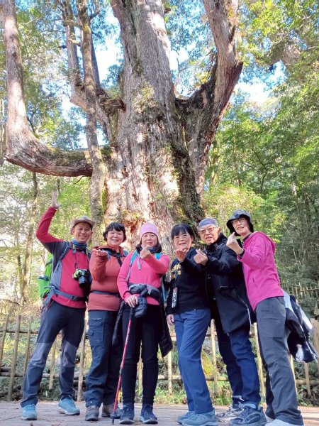 20260104司馬庫斯 &巨木群攀登2978857