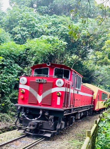 1100911嘉義獨立山步道（加映森鐵）封面