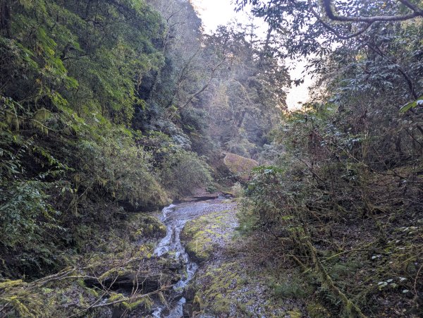 2026.01.03－鎮西堡B區神木群2981165