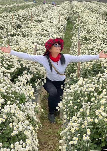 小百岳關刀山889m+銅鑼杭菊1924082