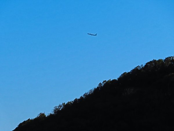 龍年首登的好選擇，鯉躍龍門，搭捷運來內湖爬三尖，鯉魚山、忠勇山、圓覺尖2426609