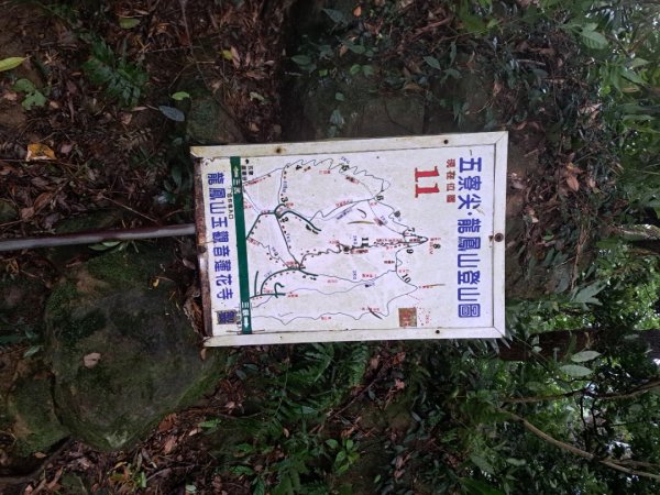 新北五寮尖登山步道3103284