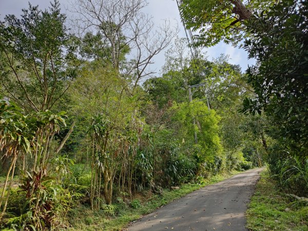 2024.03.24 飛鳳古道2908480