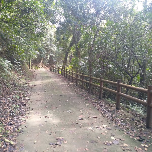 山塘背登山步道-竹林秘境1606076