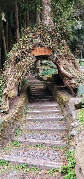 2023-01-01杉林溪青龍蕨類步道(青龍瀑布)、松瀧岩瀑布及天地眼步道1978903