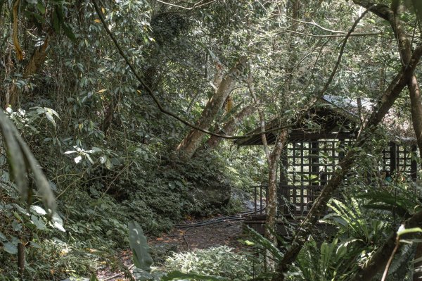 馬胎古道 （馬胎一期、南坪古道、內灣老街）3073856