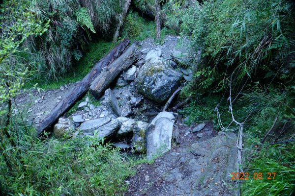 花蓮 秀林 畢祿山 (高遶-進；崩塌-出)1823028