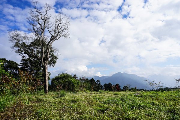 【苗栗】司馬限山、盡尾山、包樹崠、拖沙尾