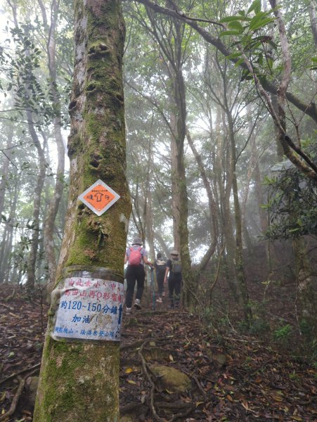 2025.07.05－高島縱走2828197