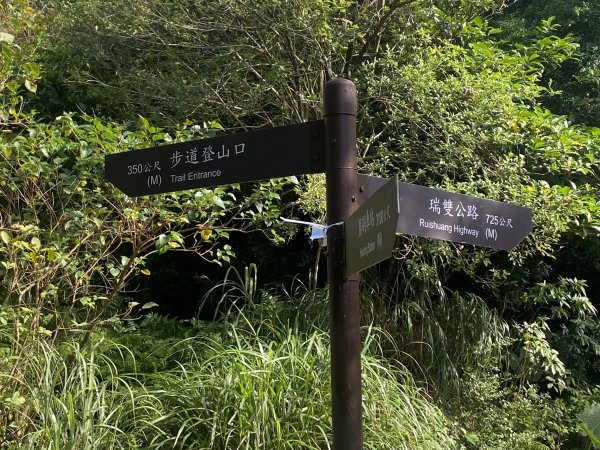 【淘金越野 20K 練跑體驗】瑞猴自行車道×大粗坑步道×金字碑古道｜陪跑練習日記2900373