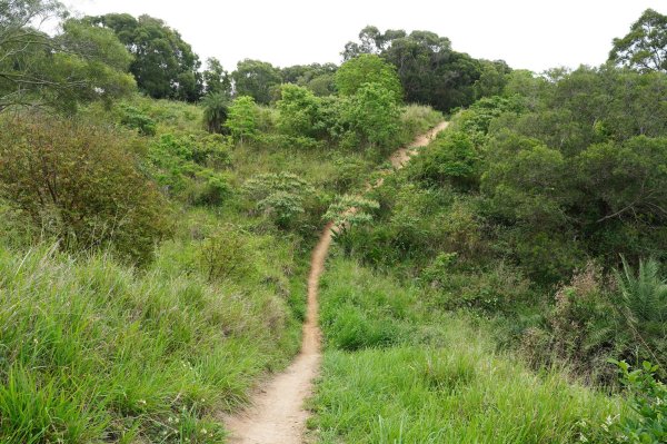 臺中 龍井 竹坑山2767046