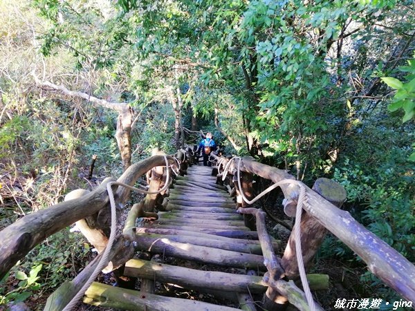 台中北屯~藍天綠意練腳力~大坑3號步道1231038