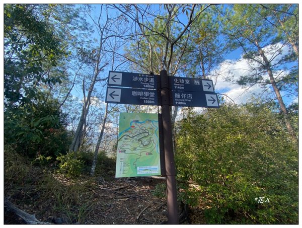 松風山 ( 惠蓀林場 )3047392