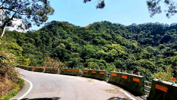 2025.03.01 JRJ程淨山林8-獨拔巃嵿爬山淨山2734527