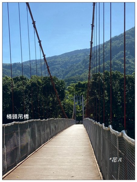 萬年峽谷步道2578336