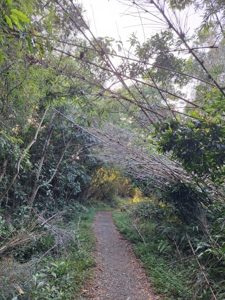 冬山梅花湖中山步道+大陂丘山202509292901662