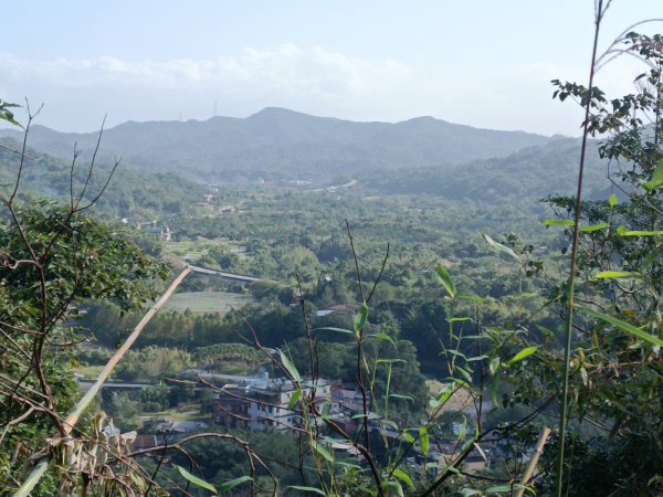 雙溪區東內平林山+上平林山+平林山去回2952477